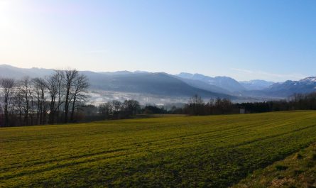 Blick auf Schlierbach im Kremstal